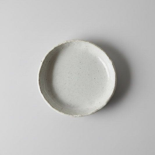  ceramic plate 