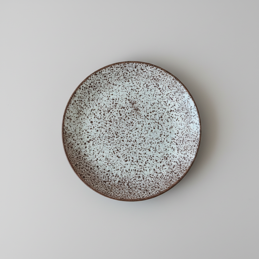 Speckled ceramic plate