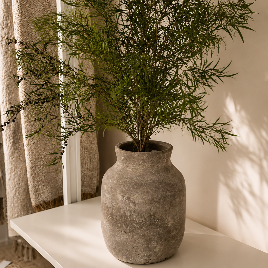 Potted plant in a textured vase on a white surface with a neutral background